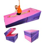 Triclicks Foldable Incline Gymnastics Mat, Wedge Gymnastics Mat, Cheese Wedge Skill Shape Tumbling Mats with Carry Handle, L47''×W23''×H18'', Yoga Mats for Home Fitness Aerobic Exercise (Purple)