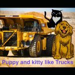 PUPPY AND KITTY LIKE TRUCKS (Puppy and Kitty like Adventures)