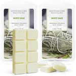 SCENTORINI Wax Melts, Wax Cubes, White Sage Wax Melts, Soy Scented Wax Melts for Wax Warmers Mothers Day Decor, 2 x 2.5 oz (Wax 2_White Sage)