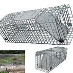 Large Metal Rat Cage Trap For Catching UK Grey Squirrels & Small Wildlife, Humane Rodent Live-Catch Trap, No Kill, Long Lasting Reliable Reusable, Use Indoors and Outdoors & in Gardens, 61x19x21cm