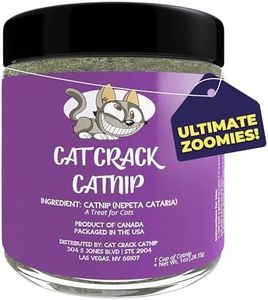 Cat Crack 
