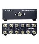 SOLUPEAK P2 2(1)-in-1(2)-Out Amp Am