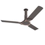 Ceiling Fan With Chestnuts