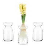 Glasseam Small Glass Vase for Flowers, Clear Bud Vases Set of 3 for Hyacinth Daffodil, Artificial Flower Vases for Living Room Wedding Centerpieces Home Decor, Cute Handmade Vases for Table Decoration