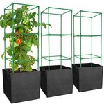 3 Packs 47 x 16 x 16 Inch Garden Tomato Cages with 17.7 Gallon Grow Bags- Square Plant Support Trellis Assembled with Planter Bags- Garden Cucumber Vegetables Frames for Vertical Climbing Plants