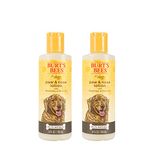 Burt's Bees for Dogs FFP9399AMZ Paw and Nose Lotion, 4 Ounces, 2 Pack