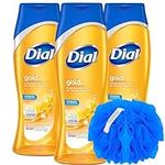 Dial Gold Hydrating Body Wash, 3 Pa