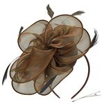 DRESHOW Fascinators Hat for Women Cocktail Tea Party Headwear Flower Mesh Ribbon Feathers Headband