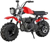 M MASSIMO MOTOR MB200S Four Stroke 