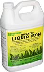 Southern Ag Chelated Liquid Iron (1