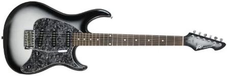 Peavey Raptor Custom Silverburst Electric Guitar