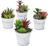 Juvale 4 Pack Artificial Succulents, Faux Fake Cactus Plants with Iron Bucket for Garden and Patio Decor, 6.5 in.