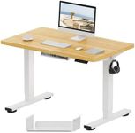FLEXISPOT E1 Plus ONE PIECE Electri