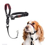 HALTI Optifit Headcollar Size Medium, Bestselling Dog Head Harness to Stop Pulling on The Lead,Easy to Use, Adjustable & Reflective Head Collar for Dogs, Professional Anti-Pull Training Aid, Black/Red, M (Pack of 1)