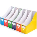 Magazine File Holder, Folder Holder, Magazine Organizer, Book Bins, Set of 6, Multi-Color