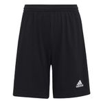 Boys Sports Shorts