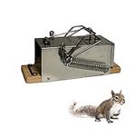 Squirrel Traps Outdoor - Squirrel T