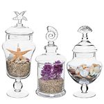 Set of 3 Seashell Handle Clear Glass Apothecary Jars / Food Storage Canisters / Decorative Centerpieces