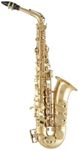 Selmer SAS511 Intermediate Alto Sax