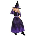 amscan 999683 Childs Be Witched Fancy Dress Halloween Costume (3-4 Years)