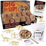 MindWare Dig It Up! Dinosaur Skeleton Eggs Excavation kit - Comes with 12 Clay Eggs, 12 Chisel Tools and 12 Instruction Sheets