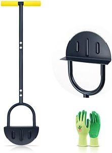 Colwelt Sa