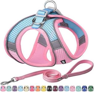 AIITLE Step in Dog Harness and Leash Set - No Pull Escape Proof Vest Harness with Soft Mesh and Reflective Bands, Adjustable Pet Outdoor Harnesses for Small and Medium Dogs Pink M