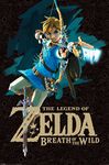 Legend of Zelda Breath of The Wild Link with Bow Shooting Arrow Video Game Gaming Cool Wall Decor Art Print Poster 24x36