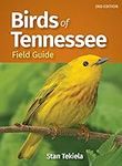 Birds of Tennessee Field Guide (Bird Identification Guides)