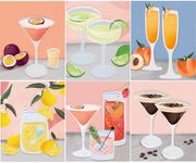 6 Pack Paint by Numbers Kit for Adu