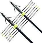 SHARROW 6/12Pcs 32 Inch Archery Solid Fiberglass Bowfishing Arrow Bow Fishing Arrows with Broadheads Safty Slides for Compound Bow Recurve Bow Fishing Hunting (12Pcs, Type 4)