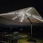 PURPLE LEAF 10 Feet Patio Umbrella 