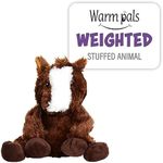 Warm Pals - Harry The Horse - 1.5lb