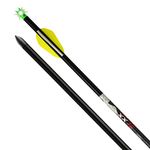 XX75 Alpha-Brite Aluminum Arrows, 20" .003"