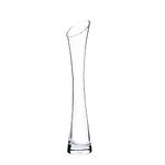 QUUPY 25CM Small Flower Vase Tall Thin Narrow Necked Glass Vases Clear Mini Mouth Single Stem Vases for Decorative Home Decor Living Room Office and Centerpieces, Transparent