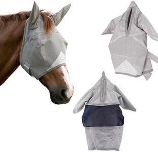 Horse Fly 