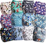 Littles and Bloomz Baby Reusable Pocket Nappy Cloth Diaper, Standard Popper, 12 Nappies, FLP2-1204