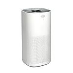 Clorox Air Purifiers for Home, True