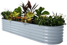 Vego garden Raised Garden Bed Kits,