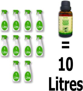 Peppermint Rodent Repellent Spray – Natural Pest Control Solution