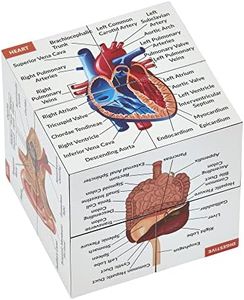 Human Anatomy Study Cube | Study 9 Parts of The Human Body | Perfect Anatomy Revision Guide | Addictive Anatomy Model Cube | Great Gift for Nurse, Dentist, Medical Students