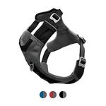 Kurgo Journey Air Harness, Dog Harness for Running and Walking, Lightweight, Breathable, Medium-Black