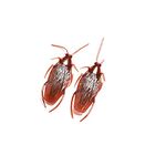 MilesMagic Set of 2 Fake Cockroach Realistic Gag Magic Novelty Comedy Funny Toy Roach Trick