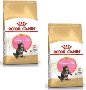 Royal Canin Maine Coon Kitten | Pack Double | 2 x 400 g | Croquettes pour Chats | Spécialement conçu pour Les Chatons Maine Coon | pour Soutenir la Digestion et Le système immunitaire