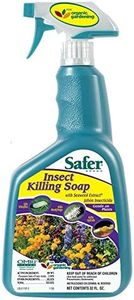 Safer Inse