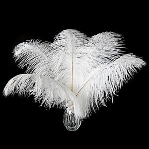 Ballinger White Large Ostrich Feathers - 12Pcs 14-16inch Large Feathers for Vase,Wedding Party Centerpieces and Christmas Home Decor