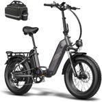 Fafrees FF20 Polar Folding Electric