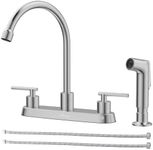 APPASO Kitchen Faucet with Side Spr