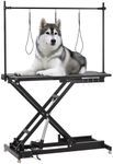 Electric Lift Dog Grooming Table, H