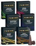 Fumino Backflow Incense Cones 90 Pack 6 Fragrances - Natural Masala Backflow Cones for Waterfall Cascade Smoke, Relaxation & Meditation, Bureau Veritas Certified, Hollow-Core for Backflow Burners